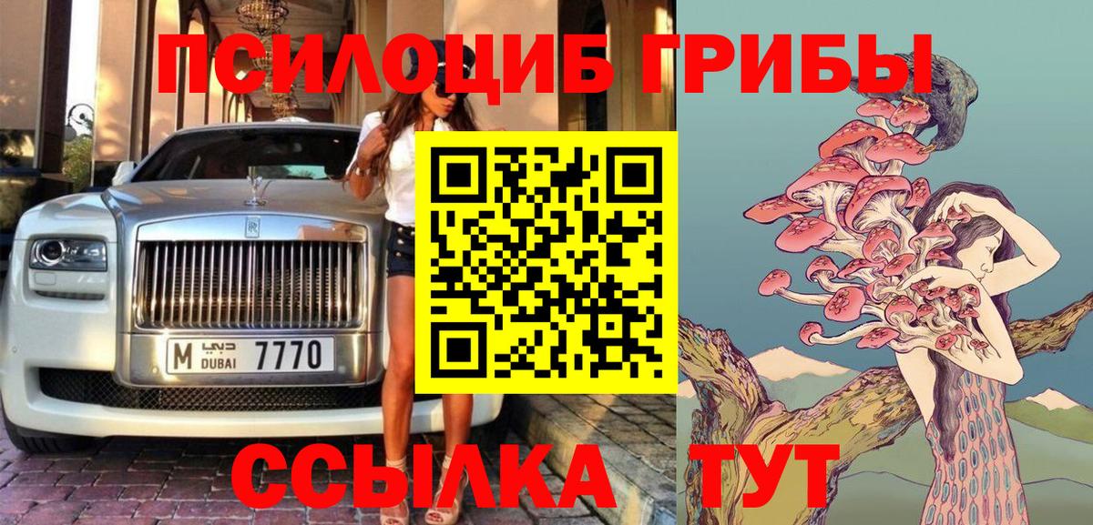 Саранск  Галлюциногенные грибы Cubensis  Вход с VPN 