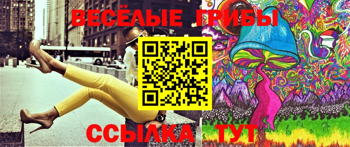 Галлюциногенные грибы Psilocybine cubensis Саранск